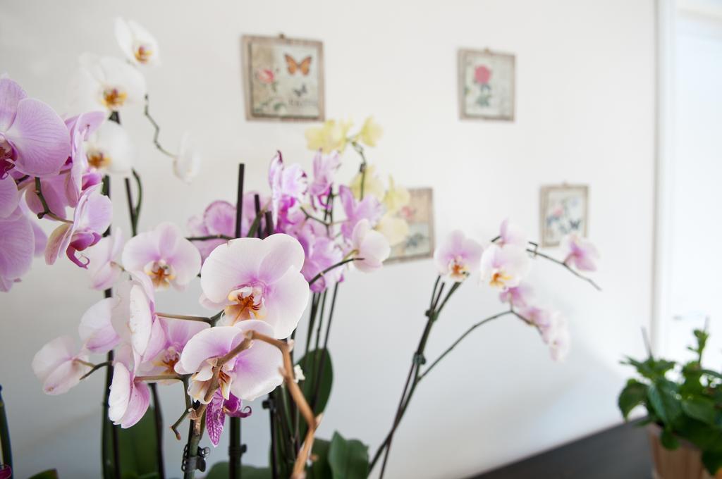 Mimi B&B ราเวลโล ห้อง รูปภาพ